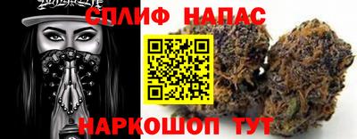 молекула духа Пенза