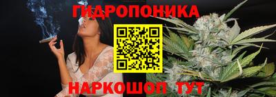 молекула духа Пенза
