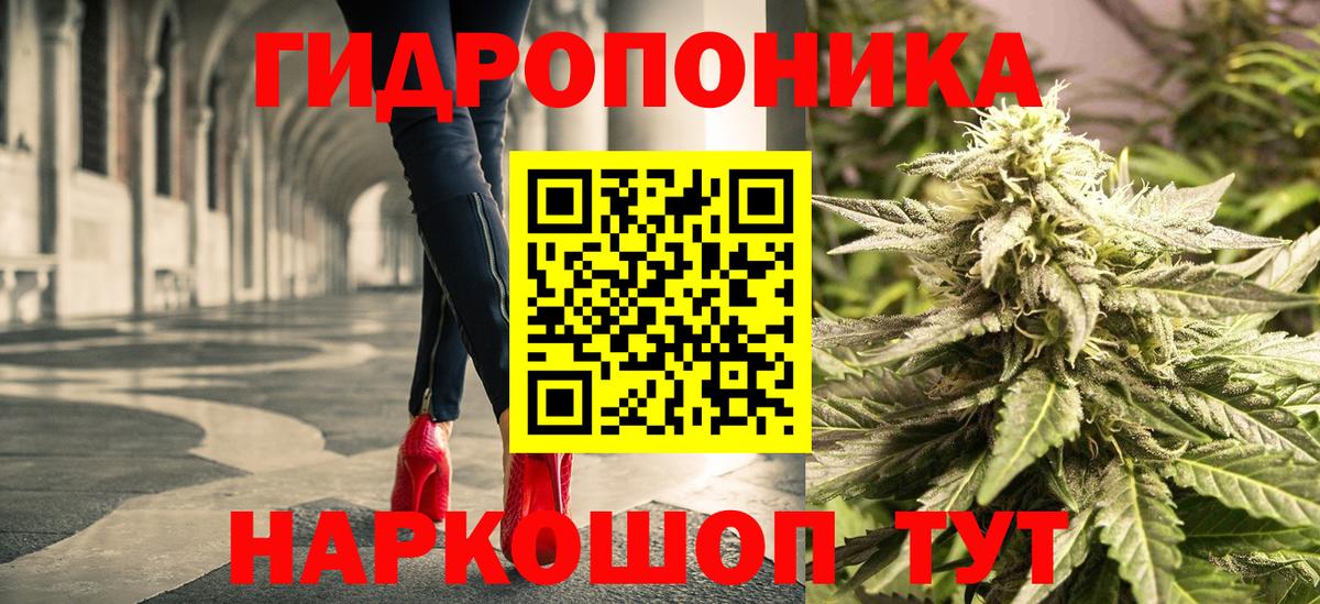 Шишки марихуана индика Свободный